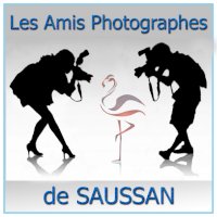 logo de l'auteur de l'actualité