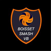 logo Boisset Smash