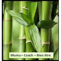logo Mumu-Coach-Bien être