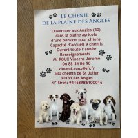 logo Chenil de la plaine des angles