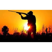 logo Syndicat de Chasse de Poussan