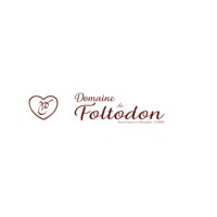 logo Domaine de Foltodon