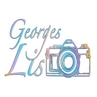 logo LIS Photographie