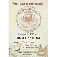 logo Les plumes de la méditerranée